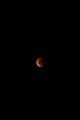 D_20150928-052138 IMG_0542
